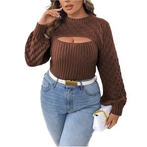 Brown Knit Cutout Sweater